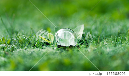 Sustainable environment and nature conservation concept. Glass globe on grass with leaves. Background for global environment. 125388903