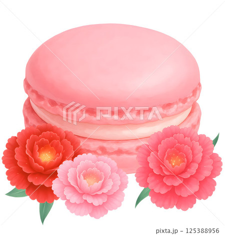 マカロンとカーネーションのイラスト 125388956