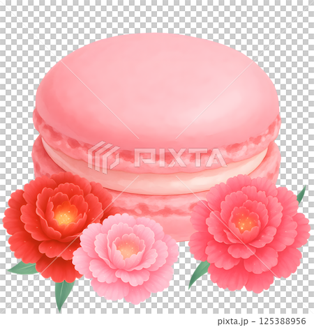 マカロンとカーネーションのイラスト 125388956