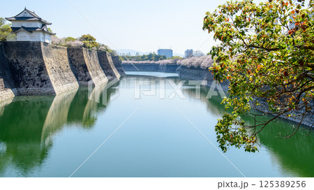 春の大阪城 桜に囲まれた南外濠と六番櫓 春の大阪城 桜に囲まれた南外濠と六番櫓 125389256