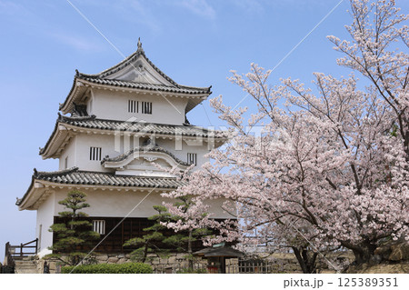 春、桜満開の丸亀城天守 春、桜満開の丸亀城天守 125389351