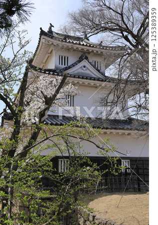 春、桜の季節の丸亀城天守 125389359
