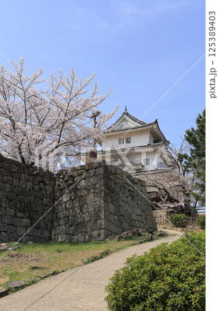 春、桜満開の丸亀城天守 春、桜満開の丸亀城天守 125389403
