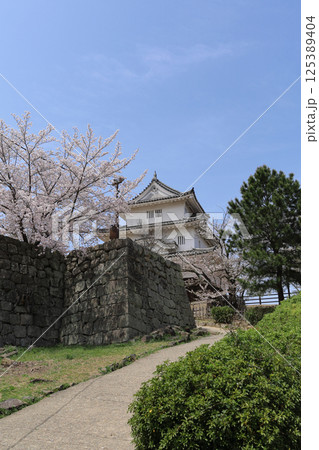 春、桜満開の丸亀城天守 春、桜満開の丸亀城天守 125389404