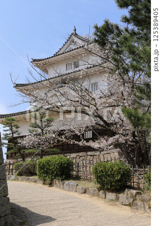 春、桜満開の丸亀城天守 125389405