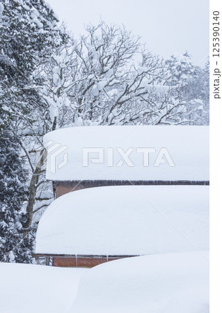 大雪が降った氷ノ山の風景 鳥取県 若桜町 125390140