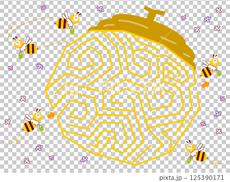 蜂の巣の迷路 蜂の巣の迷路 125390171