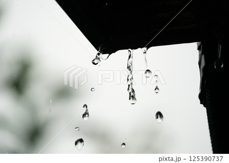 滴る雨と静寂の時間 125390737