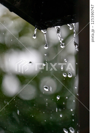 滴る雨と静寂の時間 125390747
