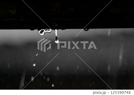 滴る雨と静寂の時間 125390748