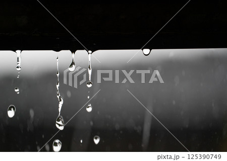 滴る雨と静寂の時間 125390749