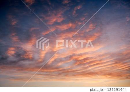 Pink sunset sky on twilight 125391444