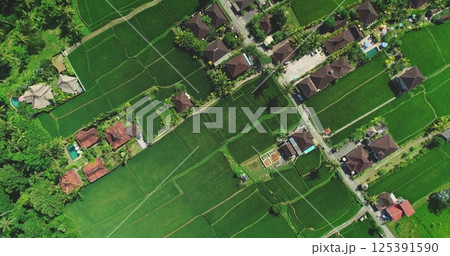 Aerial view of vibrant green rice fields and traditional houses with red roofs, surrounded by tropical vegetation and pathways. Top down drone flight over Bali island landscape. Natural background Aerial view of vibrant green rice fields and traditional houses with red roofs, surrounded by tropical vegetation and pathways. Top down drone flight over Bali island landscape. Natural background 125391590