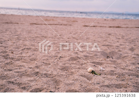 [二色の浜海水浴場]美しいビーチ 125391638