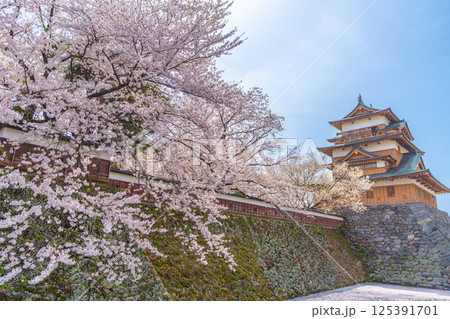 高島城　桜満開　桜吹雪【長野県諏訪市】 125391701