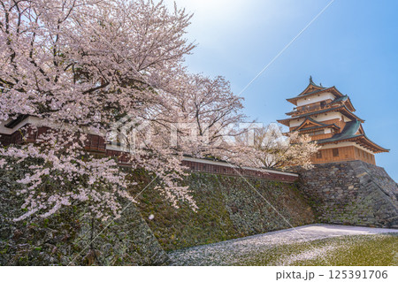 高島城　桜満開　桜吹雪【長野県諏訪市】 125391706