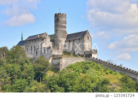 Very old Bezdez castle in Czech republic 125391724