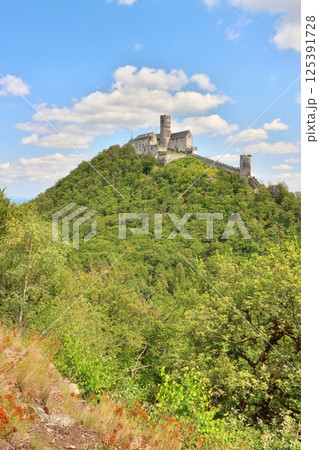 Very old Bezdez castle in Czech republic Very old Bezdez castle in Czech republic 125391728