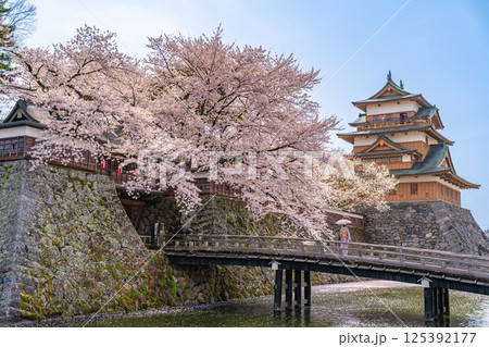 高島城　桜満開　桜吹雪【長野県諏訪市】 125392177