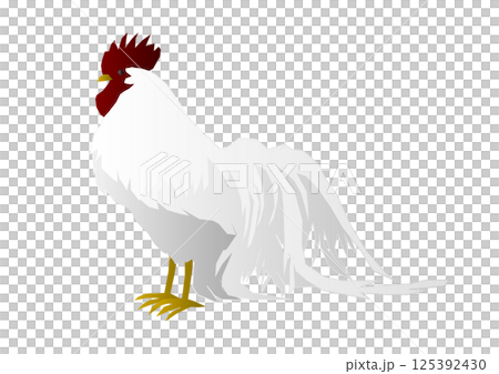 1羽の雄鶏のベクターイラスト 1羽の雄鶏のベクターイラスト 125392430