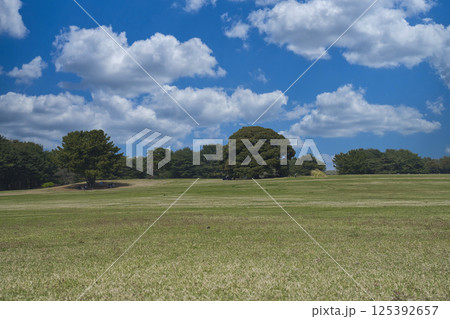 ひたちなか海浜公園 125392657