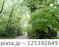 糺の森 125392849