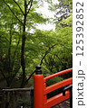 青紅葉　北野天満宮 125392852
