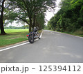 新緑の並木道とバイク 125394112