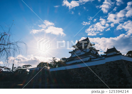 [岸和田城]太陽の眩しい光と天守閣 125394214