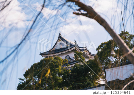 [岸和田城]歴史深いお城の風景 125394641