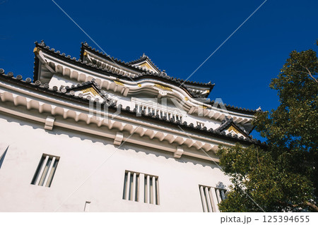 [岸和田城]歴史深いお城の風景 125394655