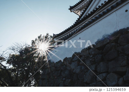 [岸和田城]歴史深いお城の風景 125394659