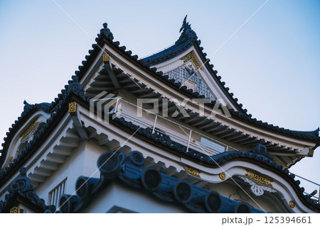 [岸和田城]歴史深いお城の風景 125394661