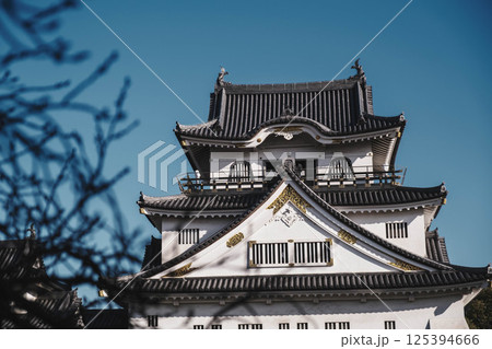 [岸和田城]歴史深いお城の風景 125394666