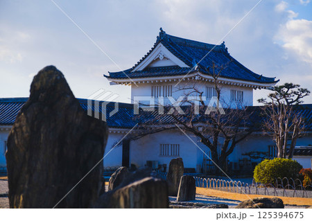 [岸和田城]歴史深いお城の風景 125394675
