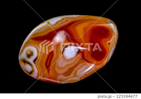 Polished Agate Specimen with Swirling Bands on Black Polished Agate Specimen with Swirling Bands on Black 125394677
