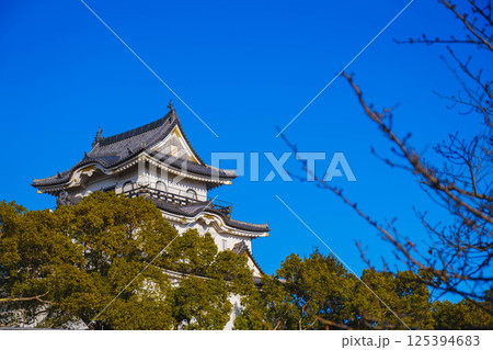 [岸和田城]歴史深いお城の風景 125394683