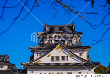 [岸和田城]歴史深いお城の佇まい 125394787