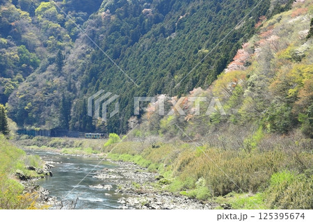 水郡線「新緑とヤマザクラ咲く奥久慈風景」 125395674