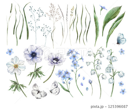 Anemone flowers, blue forget-me-nots, delicate lotuses, green blades of grass and leaves, wild flowers. Botanical set for holidays and wedding industry, various packaging and cards, textiles. Anemone flowers, blue forget-me-nots, delicate lotuses, green blades of grass and leaves, wild flowers. Botanical set for holidays and wedding industry, various packaging and cards, textiles. 125396087