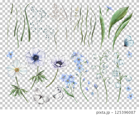 Anemone flowers, blue forget-me-nots, delicate lotuses, green blades of grass and leaves, wild flowers. Botanical set for holidays and wedding industry, various packaging and cards, textiles. 125396087