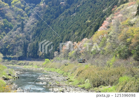 水郡線「新緑とヤマザクラ咲く奥久慈風景を走る列車」 水郡線「新緑とヤマザクラ咲く奥久慈風景を走る列車」 125396098
