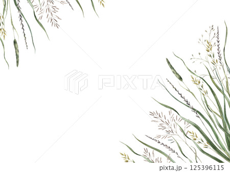 Various blades of grass and flowers in natural shades. Watercolor rectangular illustration with space for text. Suitable for eco-branding, packaging, greeting cards, wedding design, botanical prints. Various blades of grass and flowers in natural shades. Watercolor rectangular illustration with space for text. Suitable for eco-branding, packaging, greeting cards, wedding design, botanical prints. 125396115