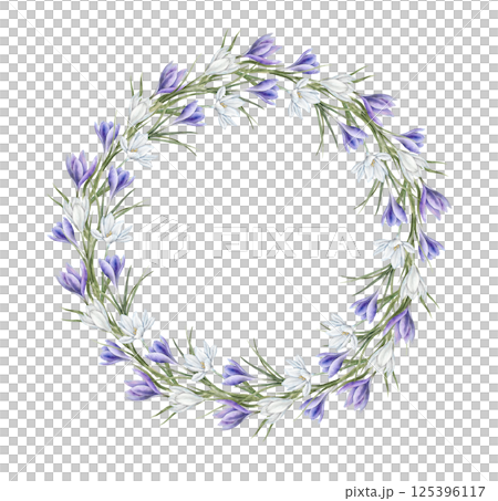 White and purple crocuses with green leaves in realistic style. Botanical watercolor round wreath for spring designs, wedding invitations, greeting cards, branding, packaging, textile patterns. White and purple crocuses with green leaves in realistic style. Botanical watercolor round wreath for spring designs, wedding invitations, greeting cards, branding, packaging, textile patterns. 125396117
