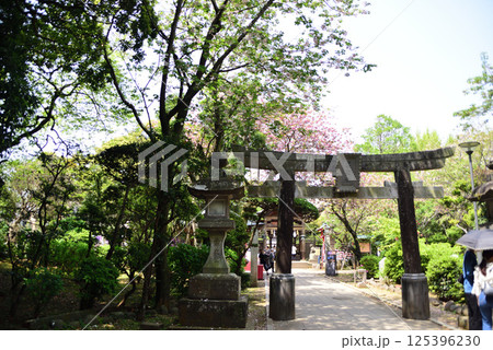 江島神社 奥津宮 鳥居 江島神社 奥津宮 鳥居 125396230