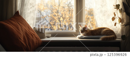 Quiet moment of a cat resting gently on a sunny windowsill during a calm afternoon 125396926