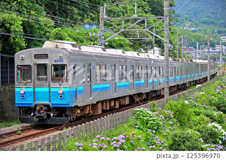 伊東線　網代－伊豆多賀　伊豆急行　8000系　TB2編成 125396970