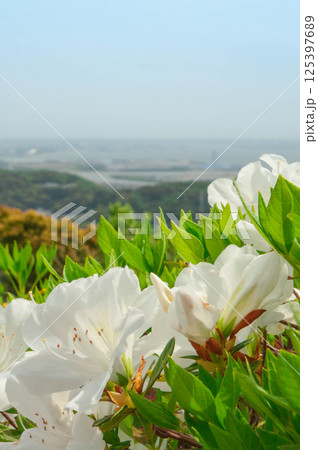 東三河ふるさと公園　展望台 125397689