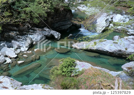 瀬戸川渓谷　行く春　（高知県　土佐町） 125397829