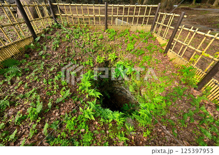 豊臣秀吉が朝鮮出兵のために築いた「名護屋城」の現在の様子 豊臣秀吉が朝鮮出兵のために築いた「名護屋城」の現在の様子 125397953